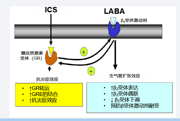 1735002802884740CzX3.png 图1.png